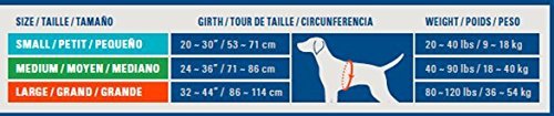 Sac à dos Cesar Millan™ - Sac à dos pour chien Dog Whisperer - Sac à dos bien rembourré pour chiens - Sac à dos de randonnée durable pour chien (moyen)