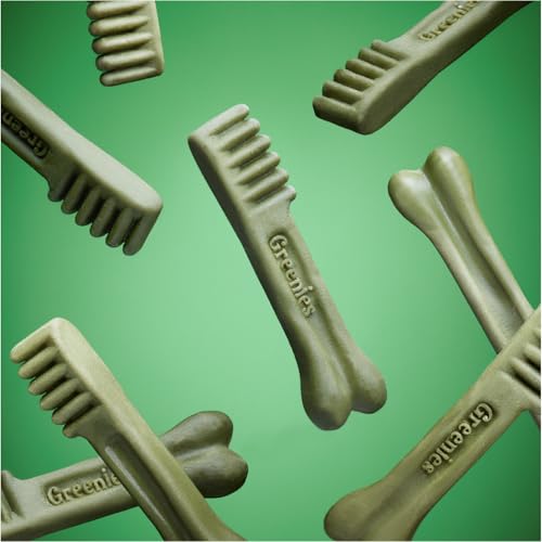 Friandises pour chiens adultes GREENIES Original TEENIE Soins dentaires naturels (130 friandises), paquet de 36 oz