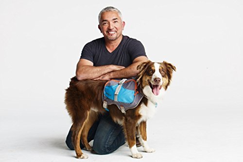 Sac à dos Cesar Millan™ - Sac à dos pour chien Dog Whisperer - Sac à dos bien rembourré pour chiens - Sac à dos de randonnée durable pour chien (moyen)
