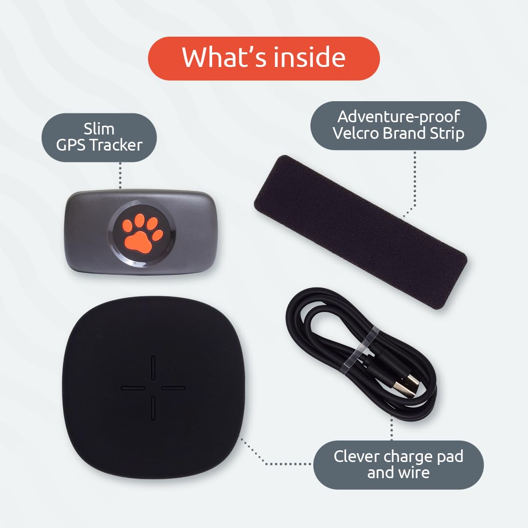 PitPat GPS Tracker for Dogs - No Subscription Fees - Suitable for All Dogs and Fits All Collars - Smart Activity Tracker, Satellite Tracking with Unlimited Range - 100% Waterproof Pet Tracker (Green)