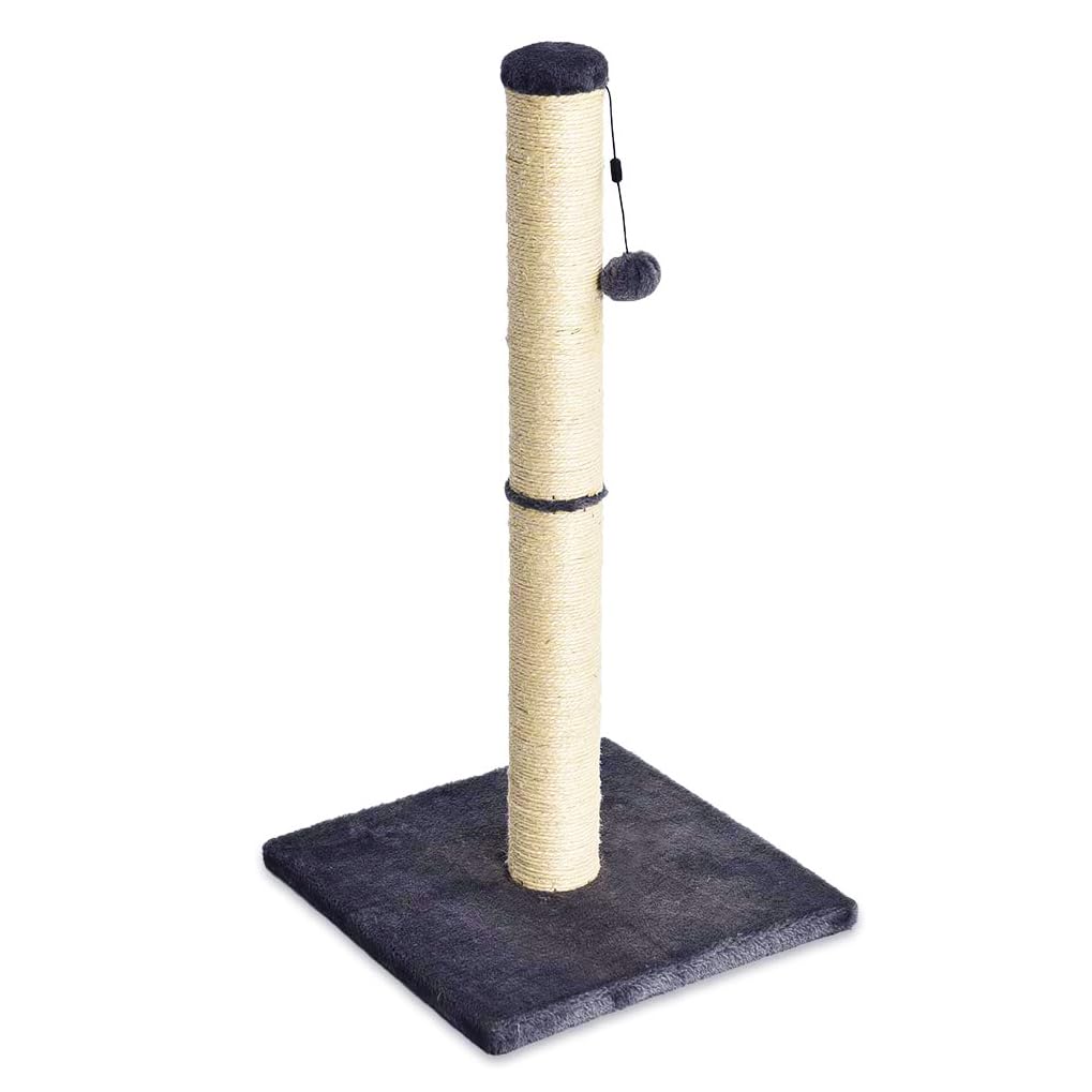 Arbre à chat Amazon Basics, taille moyenne, 40 x 40 x 80 cm, gris