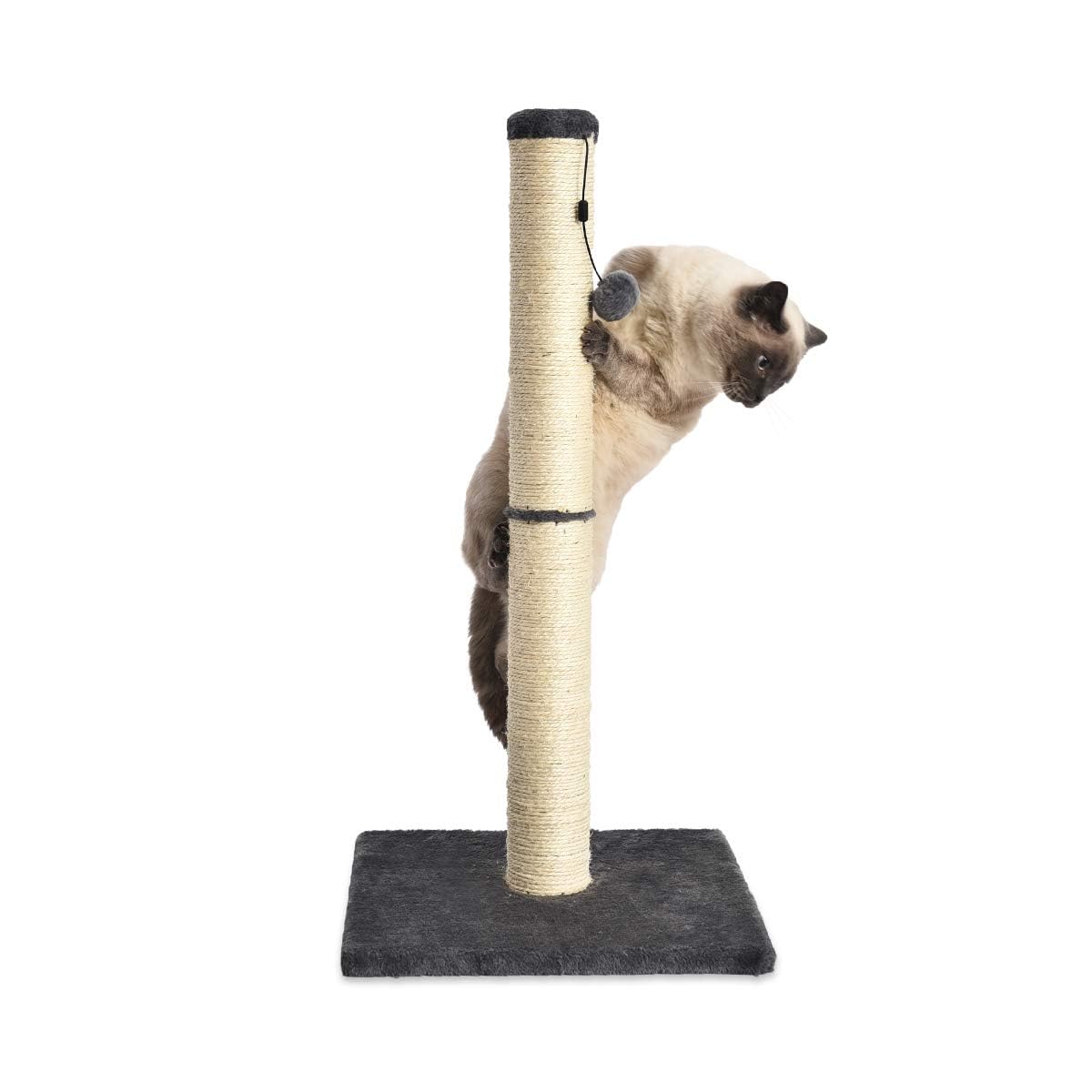 Arbre à chat Amazon Basics, taille moyenne, 40 x 40 x 80 cm, gris