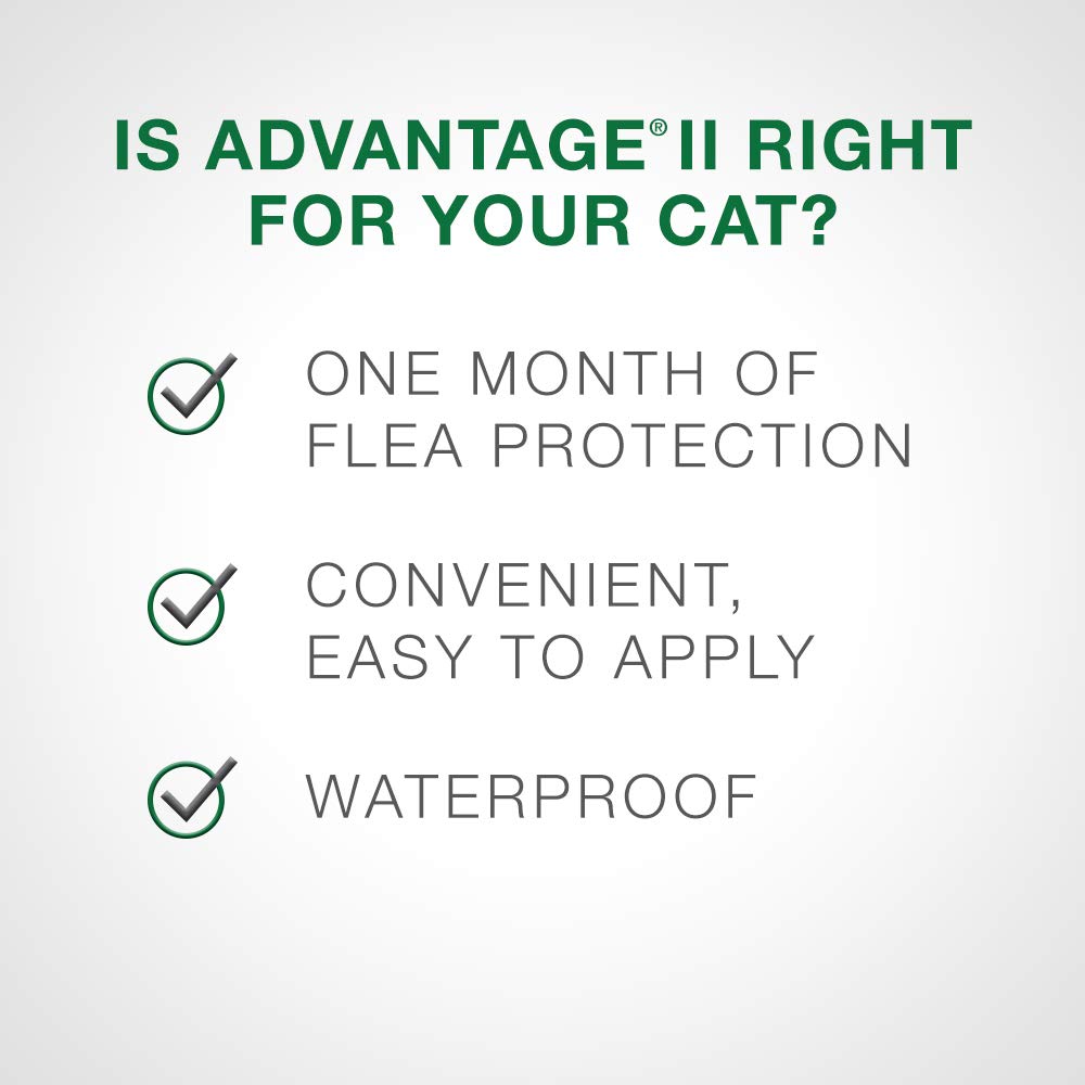Traitement antipuces Advantage II pour chatons pesant moins de 2,3 kg (moins de 5 lb) - 2 doses