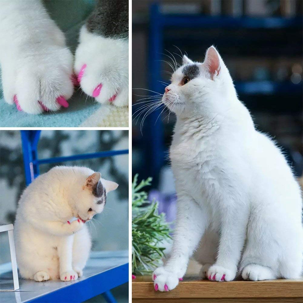 100pcs (10 Colors) Cat Nail Caps, Cat Claw Caps Cat Nail Covers with Adhesive Glue and Applicators (Medium)