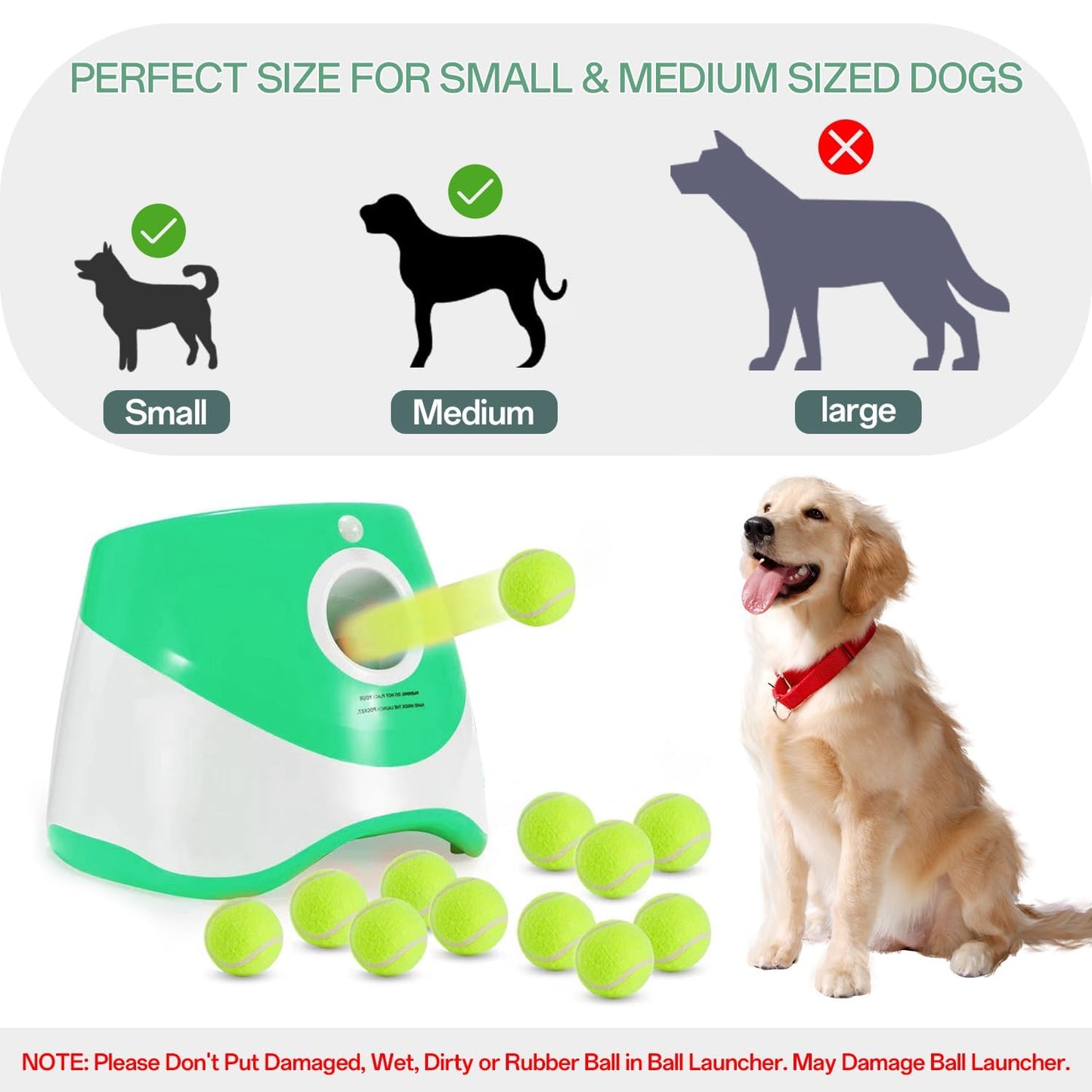 Lanceur de balles pour usage intérieur/extérieur, télécommandé, comprend 12 balles de tennis, lanceur de balles Green Dog