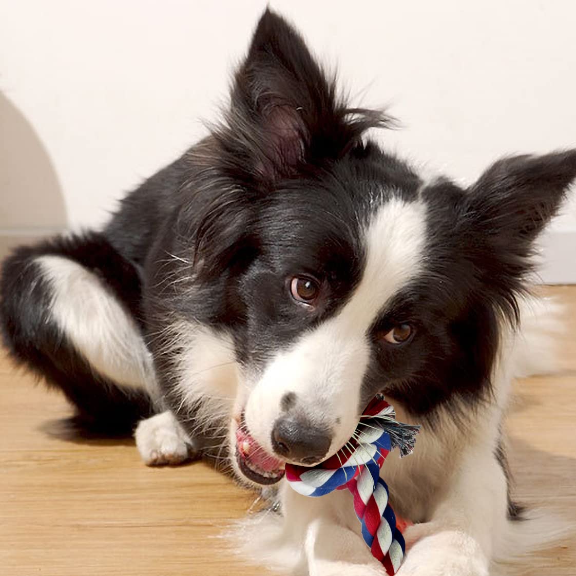 PetBox Knotted Rope Chew Toy for Dogs - Large Three Knot 20"