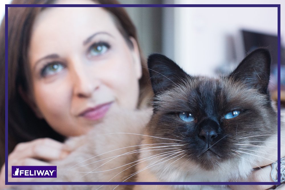 FELIWAY CLASSIC 30 Day Starter Kit - Comforts Cats at Home & Helps Control Unwanted Urine Spraying, Cat Scratching and Hiding (incl. FELIWAY Cat Diffuser LMH19 & FELIWAY Refill C238)
