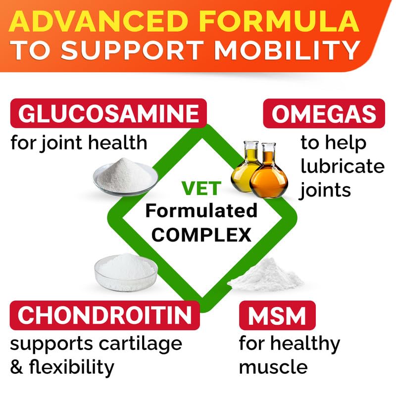 Senior Advanced Glucosamine Joint Supplement for Dogs - Hip & Joint Pain Relief - Small + Large Breeds -Omega-3 Fish Oil - Chondroitin, MSM- Mobility Soft Chews for Older Dogs - Bacon Flavor - 120Ct
