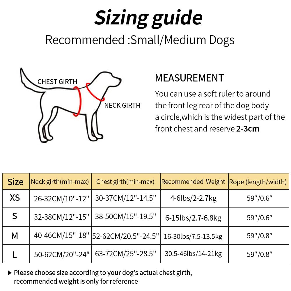 SAEGYPET Dog Harness with Leash Set, No Pull Adjustable Step in with Breathable Padded Puppy Harness for Small Medium Large Dogs Training and Running (Red, M)