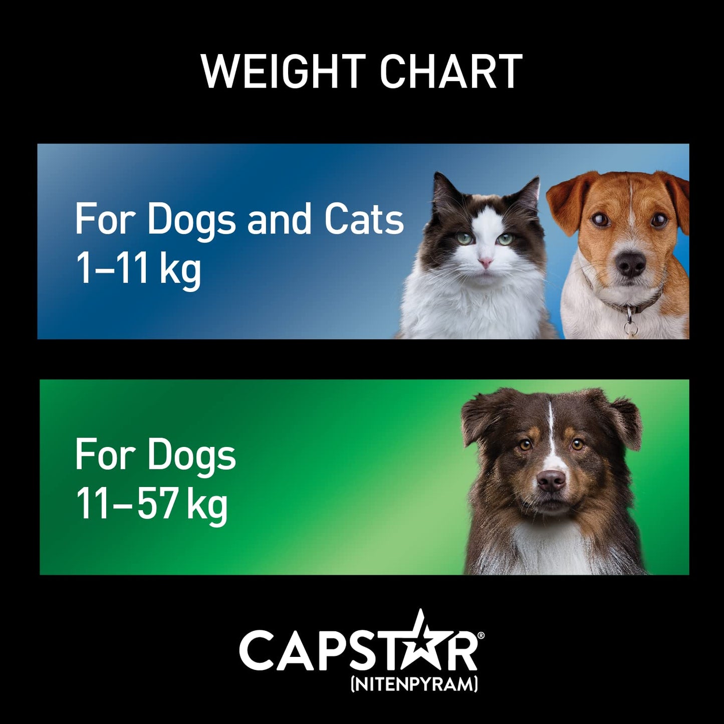 Traitement oral antipuces Capstar pour petits chiens et chats de 1 à 11 kg - paquet de 6