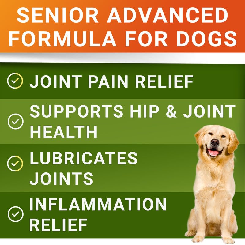 Senior Advanced Glucosamine Joint Supplement for Dogs - Hip & Joint Pain Relief - Small + Large Breeds -Omega-3 Fish Oil - Chondroitin, MSM- Mobility Soft Chews for Older Dogs - Bacon Flavor - 120Ct
