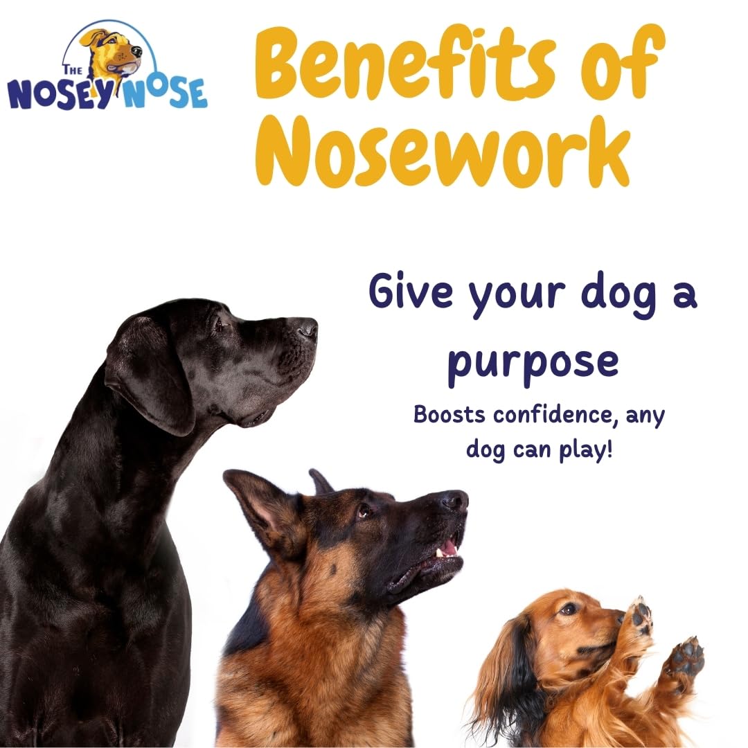 The Nosey Nose Dog Scent Training Kit - Clove Scent Zipper Pouch with Bag & Brain Puzzle Games - Nosework Scentwork Games for All Ages Dog