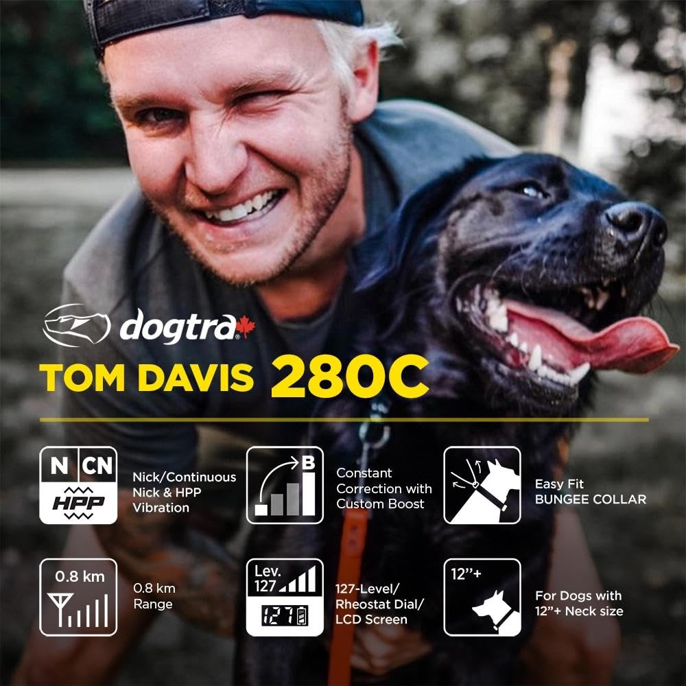 Collier électronique Dogtra Canada Tom Davis 280C avec télécommande pour chiens, rechargeable, étanche, Boost N' Bungee, portée de 0,80 km, pas de mauvais chiens