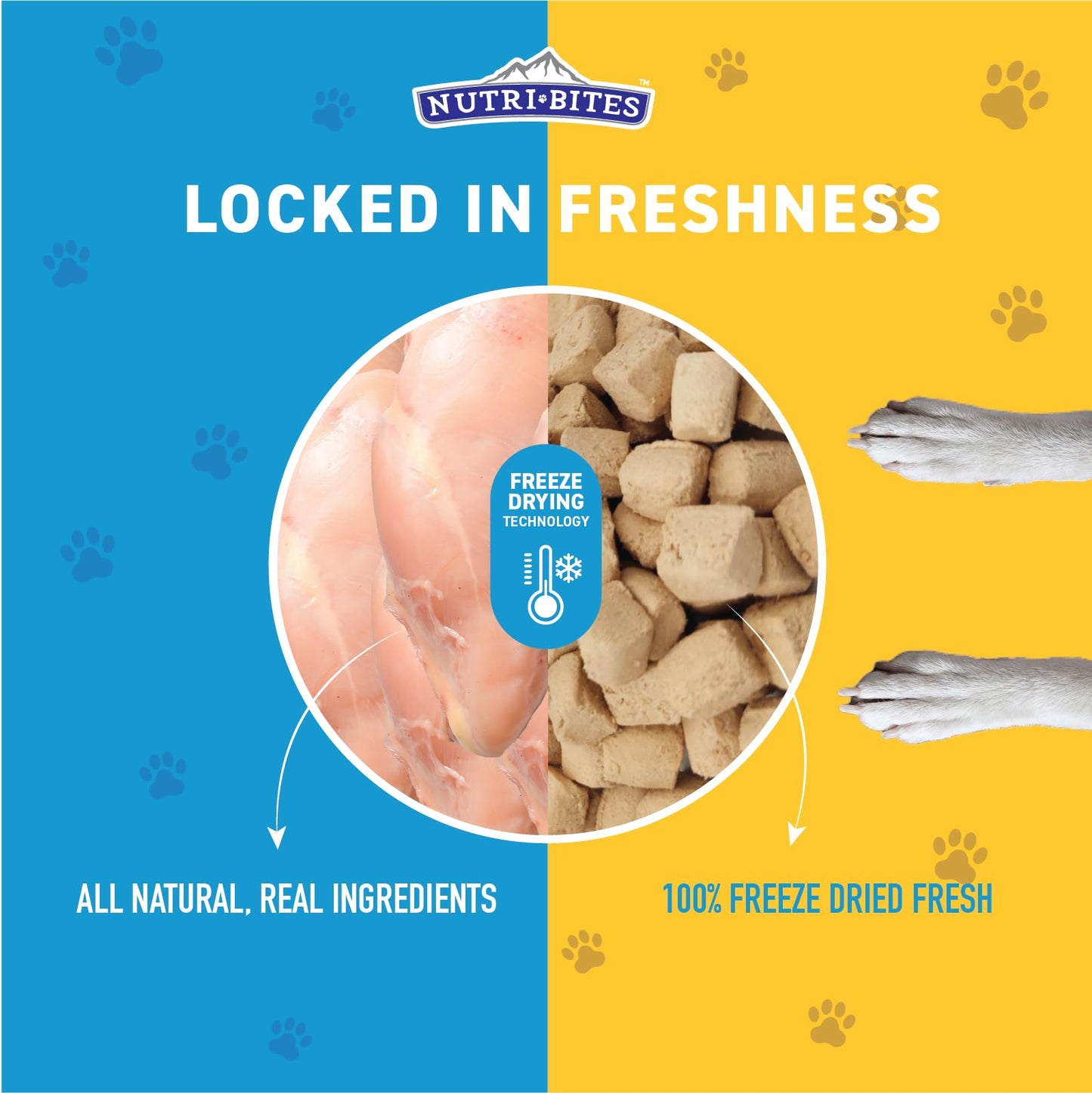 Friandises NutriBites au poulet lyophilisé pour chiens et chats, 425 g | Friandises ou compléments alimentaires pour le dressage de vos animaux | Entièrement naturelles, une seule protéine animale, riche en protéines | Emballage premium en vrac de 425 g