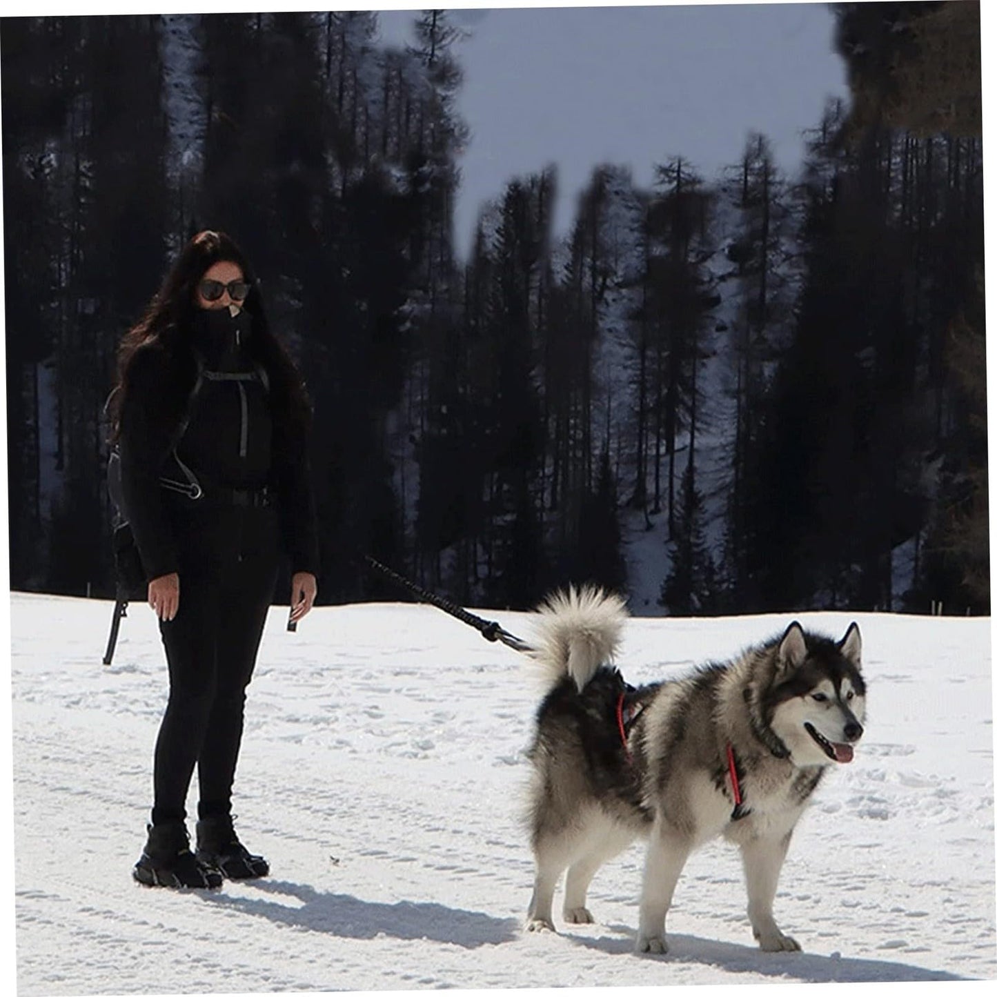 Harnais de traction réglable et robuste pour chien, en nylon imperméable avec bandes réfléchissantes, pour la course et le traîneau, pour les grandes races, le bikejoring, le skijoring, le canicross et le traîneau à chiens (noir, M)
