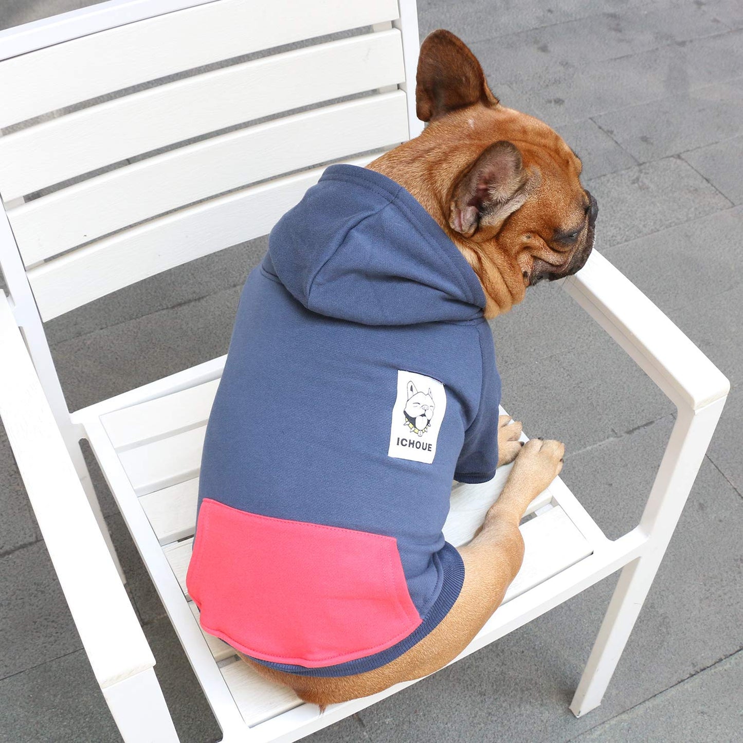 iChoue Pet Clothes Sweat à capuche zippé pour chien Bouledogue français Frenchie Carlin Corgi Chiot Manteau d'hiver chaud en coton Bleu marine Taille S