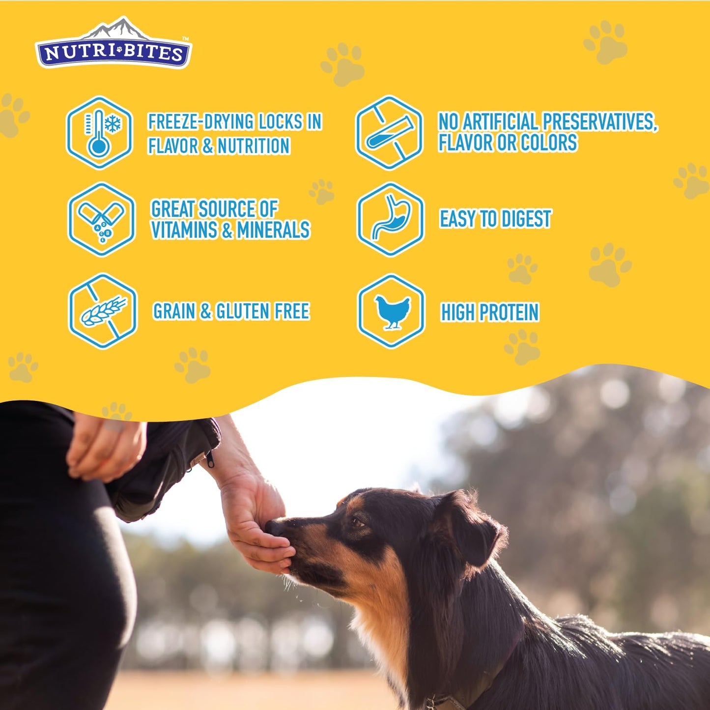 Friandises NutriBites au poulet lyophilisé pour chiens et chats, 425 g | Friandises ou compléments alimentaires pour le dressage de vos animaux | Entièrement naturelles, une seule protéine animale, riche en protéines | Emballage premium en vrac de 425 g