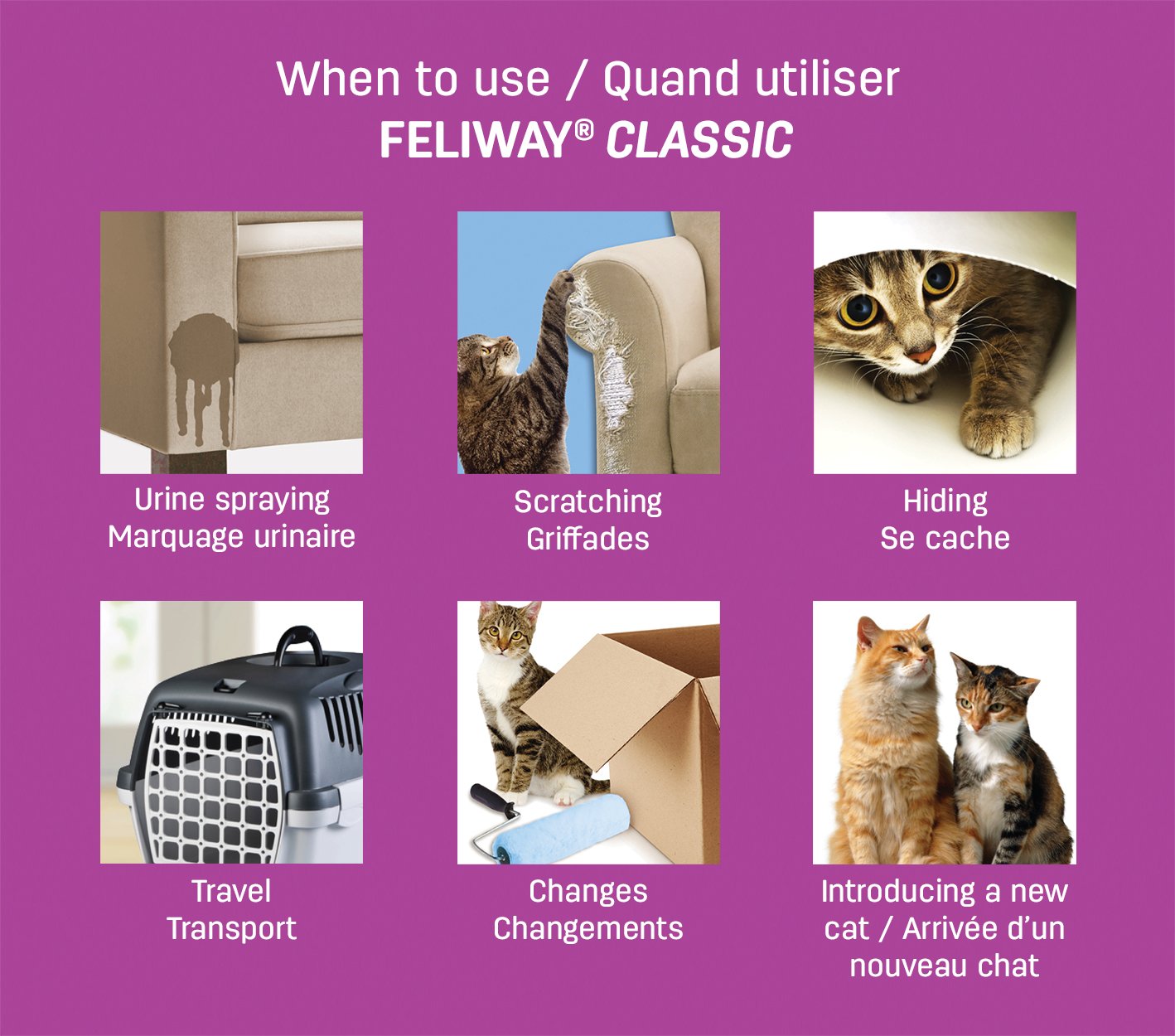 FELIWAY CLASSIC 30 Day Starter Kit - Comforts Cats at Home & Helps Control Unwanted Urine Spraying, Cat Scratching and Hiding (incl. FELIWAY Cat Diffuser LMH19 & FELIWAY Refill C238)