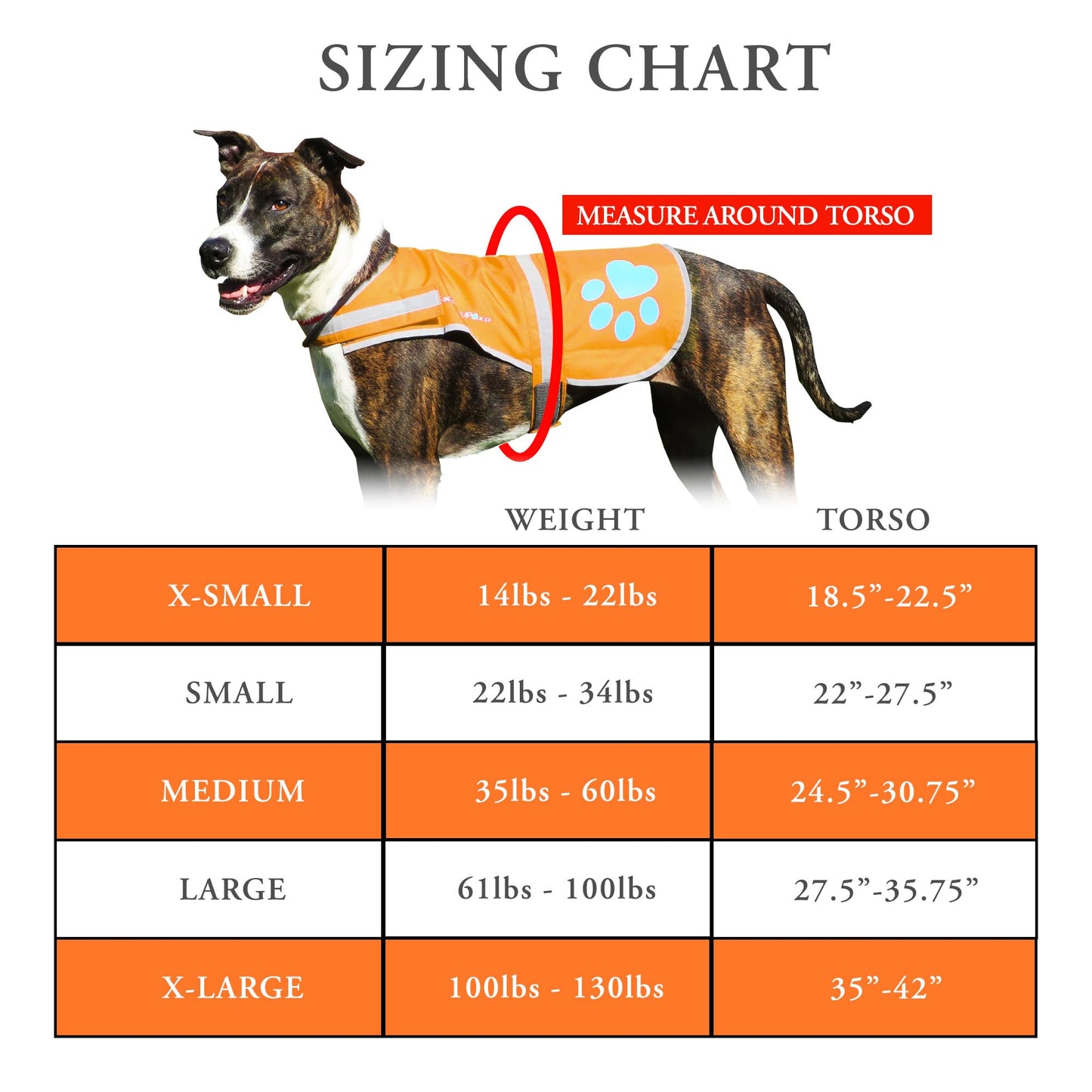 SafetyPUP XD Dog Reflective Vest. Blaze Orange Hi Vis Dog Vest Protects Dogs from Cars & Hunting Accidents (XL)