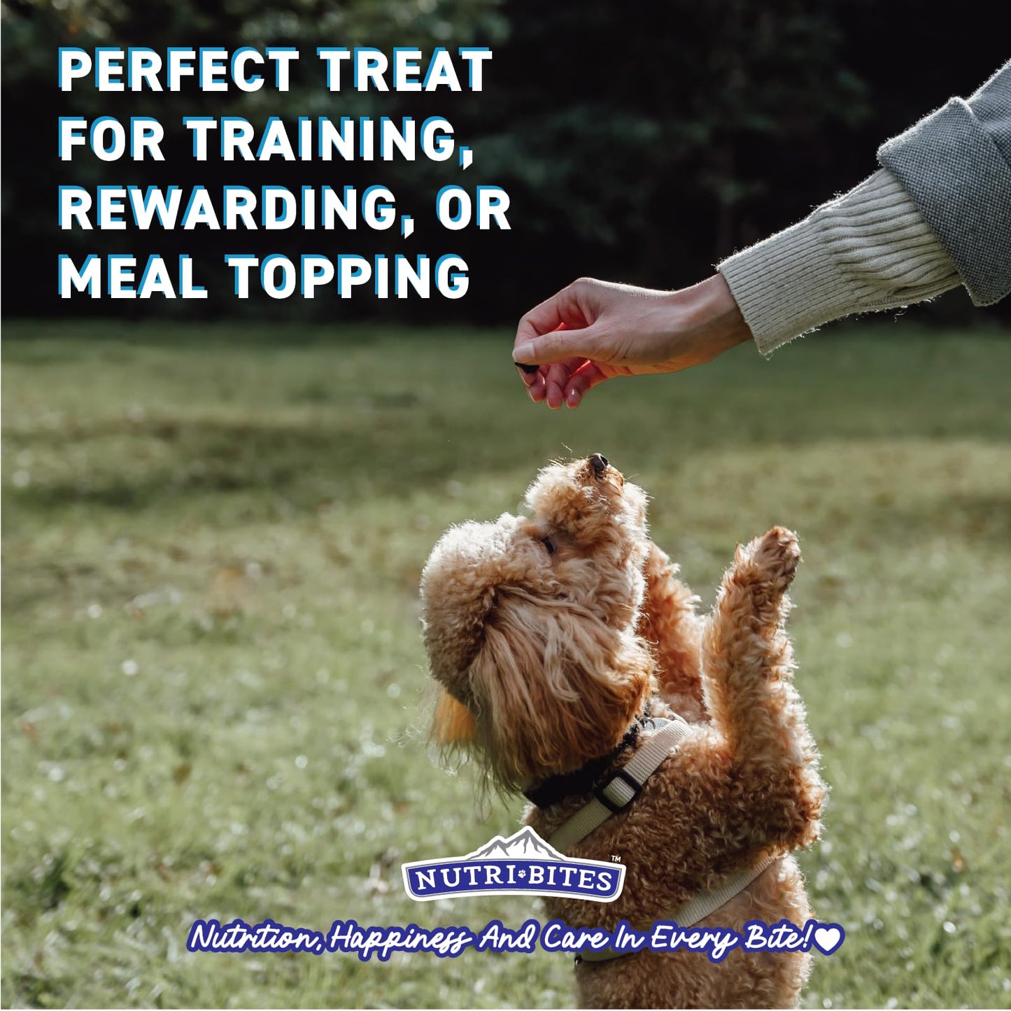 Friandises NutriBites au poulet lyophilisé pour chiens et chats, 425 g | Friandises ou compléments alimentaires pour le dressage de vos animaux | Entièrement naturelles, une seule protéine animale, riche en protéines | Emballage premium en vrac de 425 g