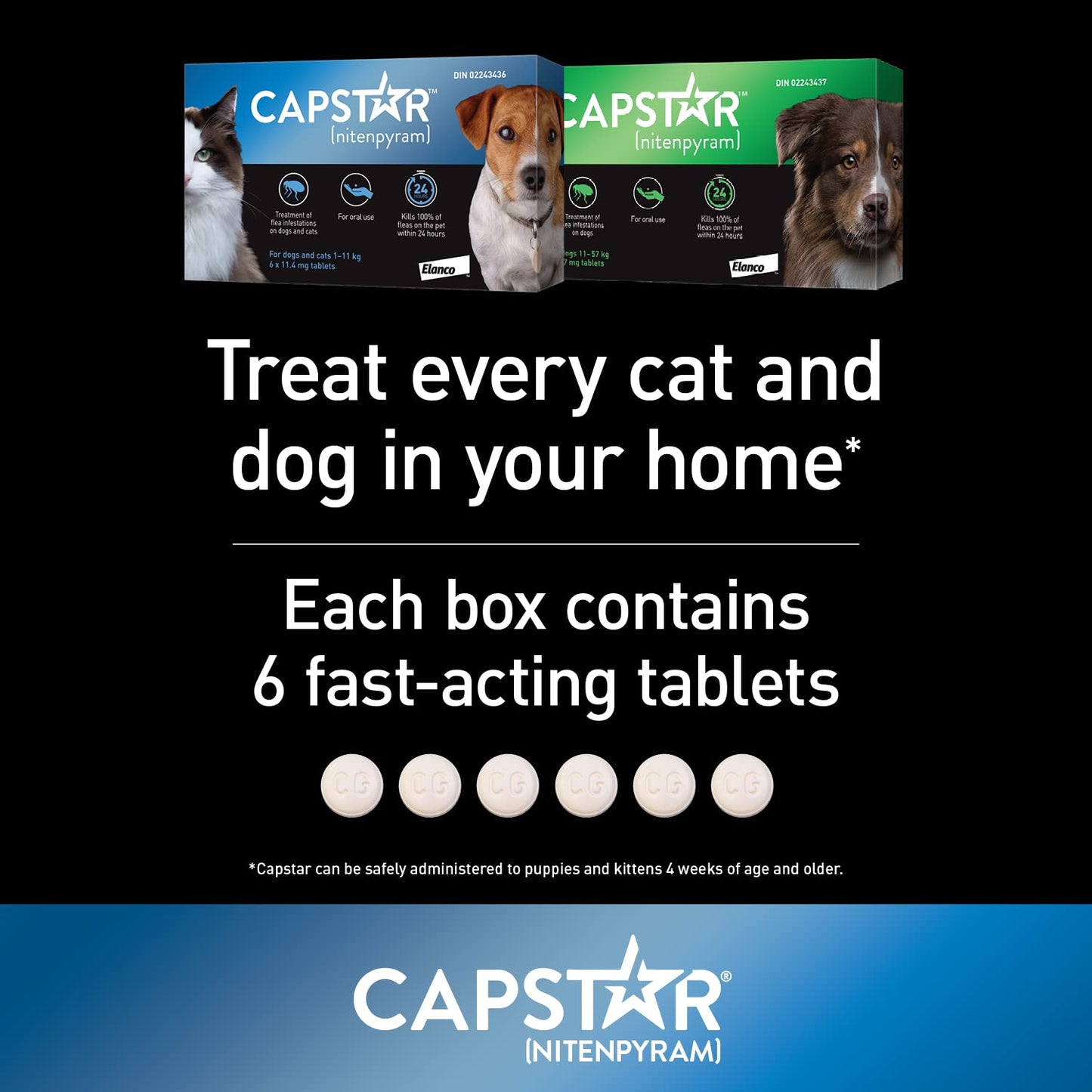 Traitement oral antipuces Capstar pour petits chiens et chats de 1 à 11 kg - paquet de 6