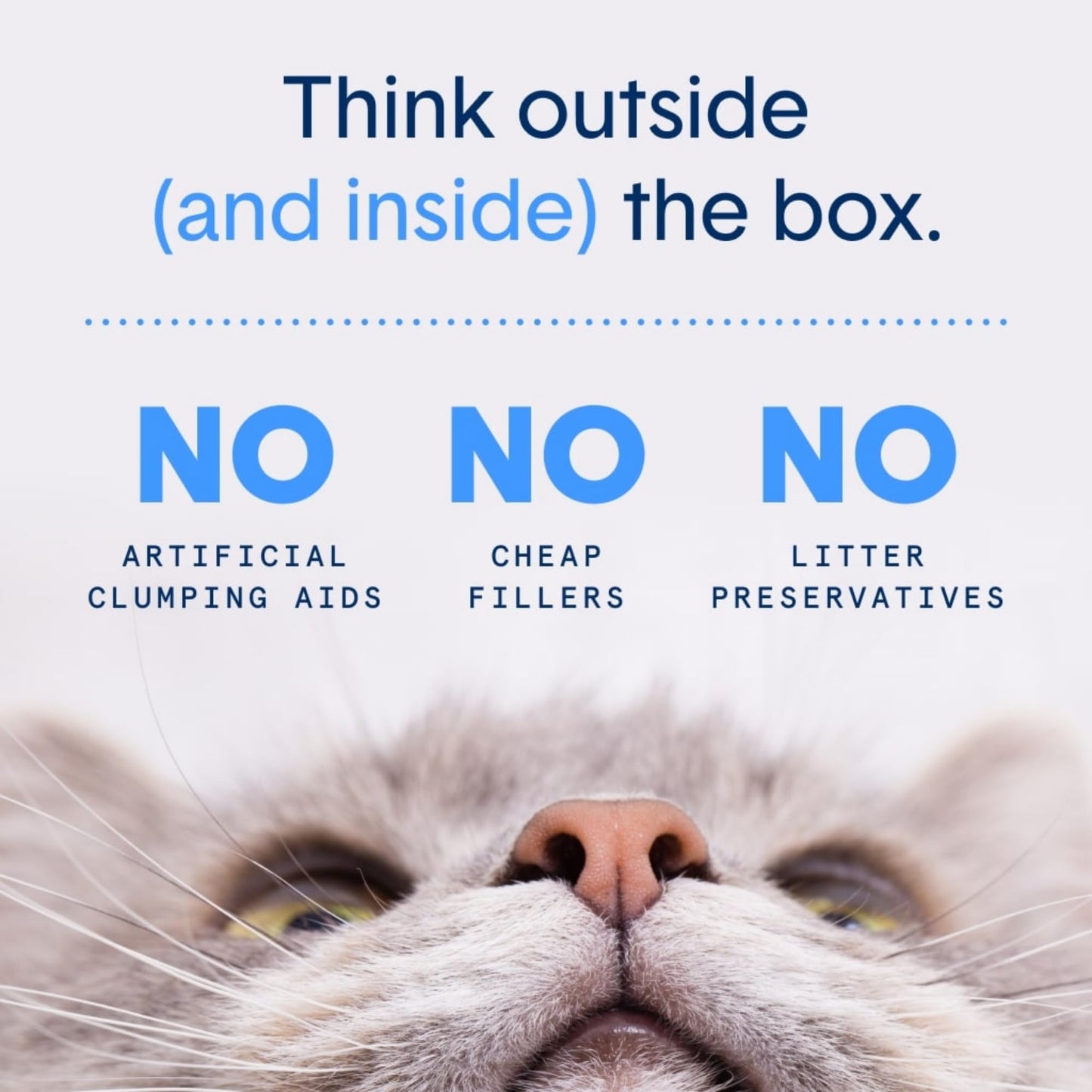 Litière agglomérante Boxie® Probiotic pour chats et chatons, contrôle des odeurs pendant 40 jours, 7,3 kg, 99,9 % sans poussière, autonettoyante, longue durée, approuvée par les vétérinaires, facile à ramasser pour tous les bacs à litière