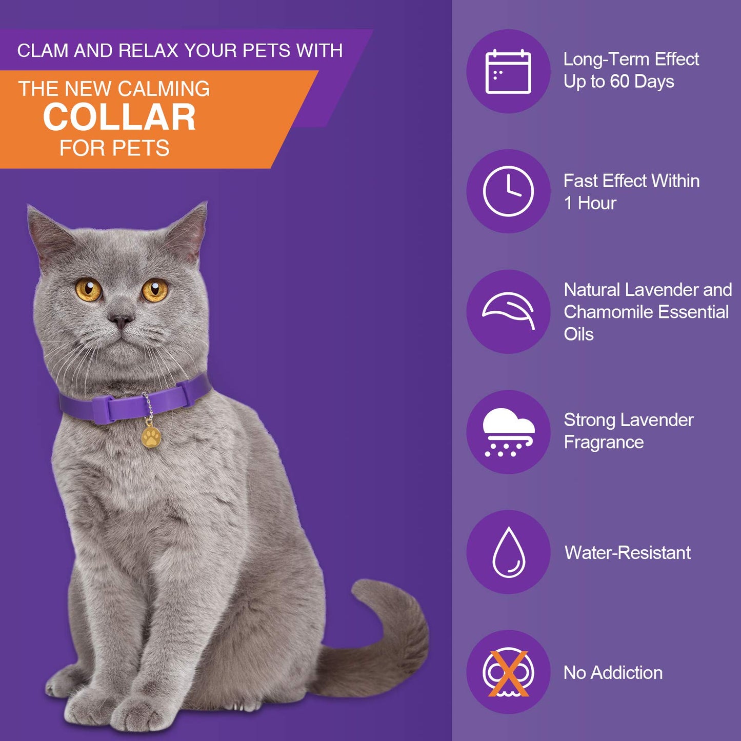 Collier apaisant pour chat, réglable, parfum lavande, avec 2 pendentifs, pour chiots, réduit le stress, l'agression et l'anxiété, jusqu'à 38 cm (violet, doré)