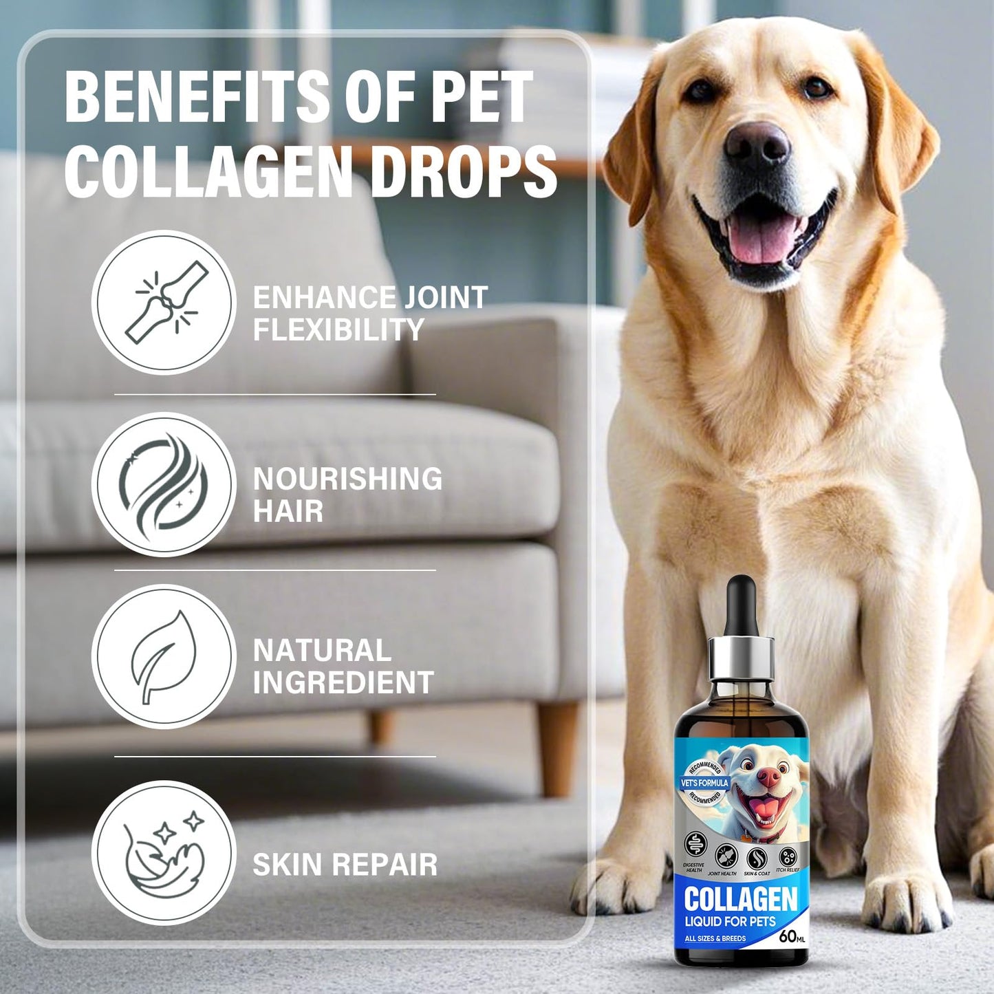Liquid Collagen for Dogs, Dog Collagen Supplement Drop Support Joint, Digestive Health, Collagen for Dogs Liquid Support Shiny Coat & Healthy Skin, Enhancing Immunity, GMO & Gluten Free