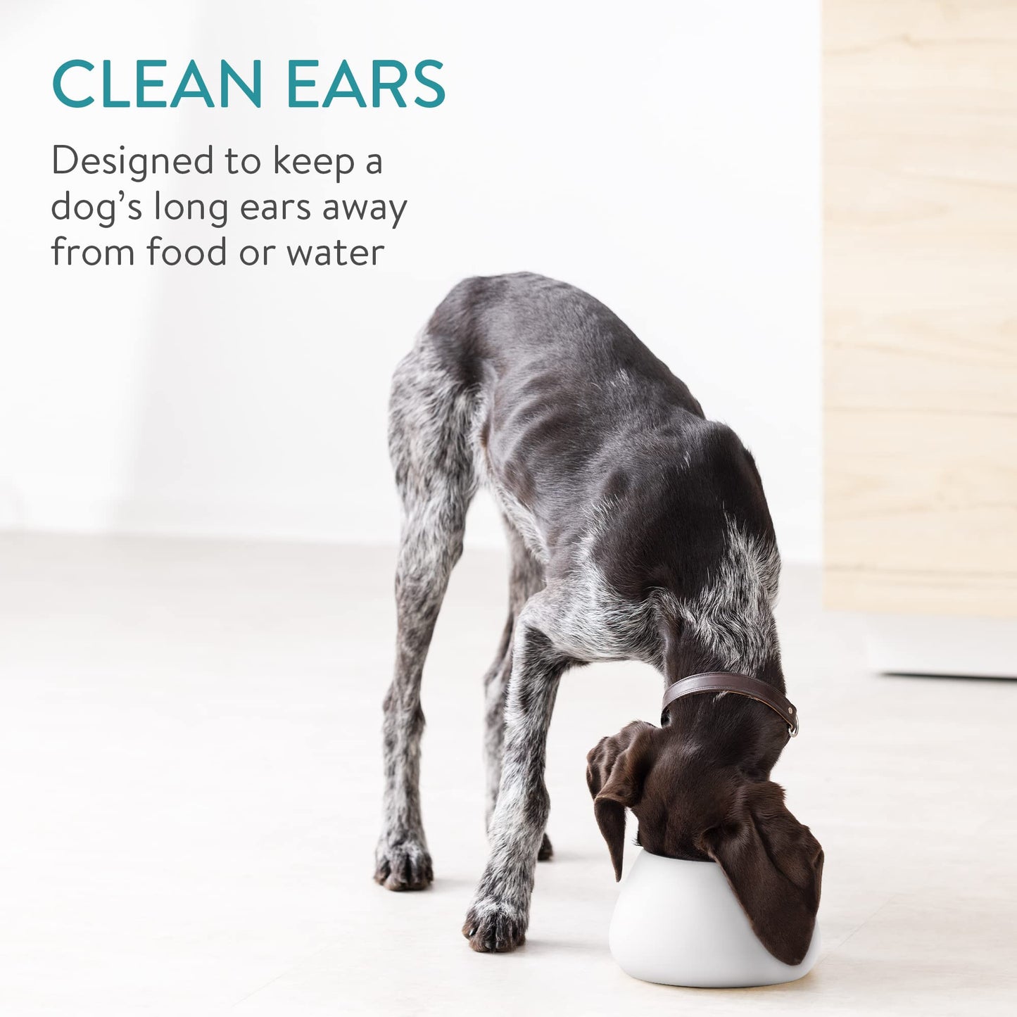 Gamelle en céramique Navaris pour chiens à longues oreilles, pour eau et nourriture, pour épagneuls, beagles, bassets, etc., anti-fuite, blanche à l'extérieur et bleue à l'intérieur.