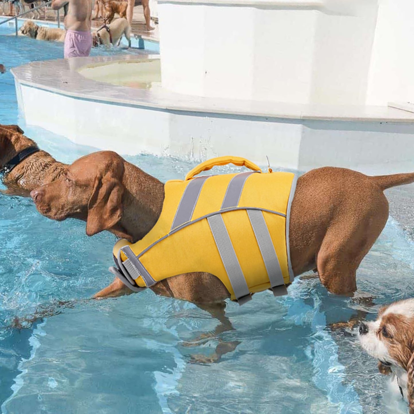 Kuoser Dog Life Jacket with Reflective Stripes, Adjustable High Visibility Dog Life Vest Ripstop Dog Lifesaver Pet Life Preserver with High Flotation Swimsuit for Small Medium and Large Dogs