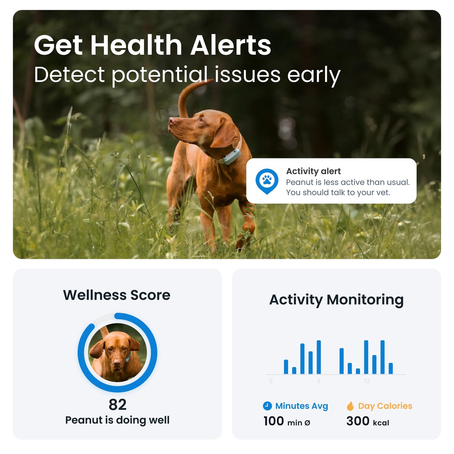 Tractive GPS Dog Tracker (2025 Release) | Real-time Pet Location Tracker | Health & Wellness Alerts | Virtual Fence for Dogs | Bark Monitoring (Mint)