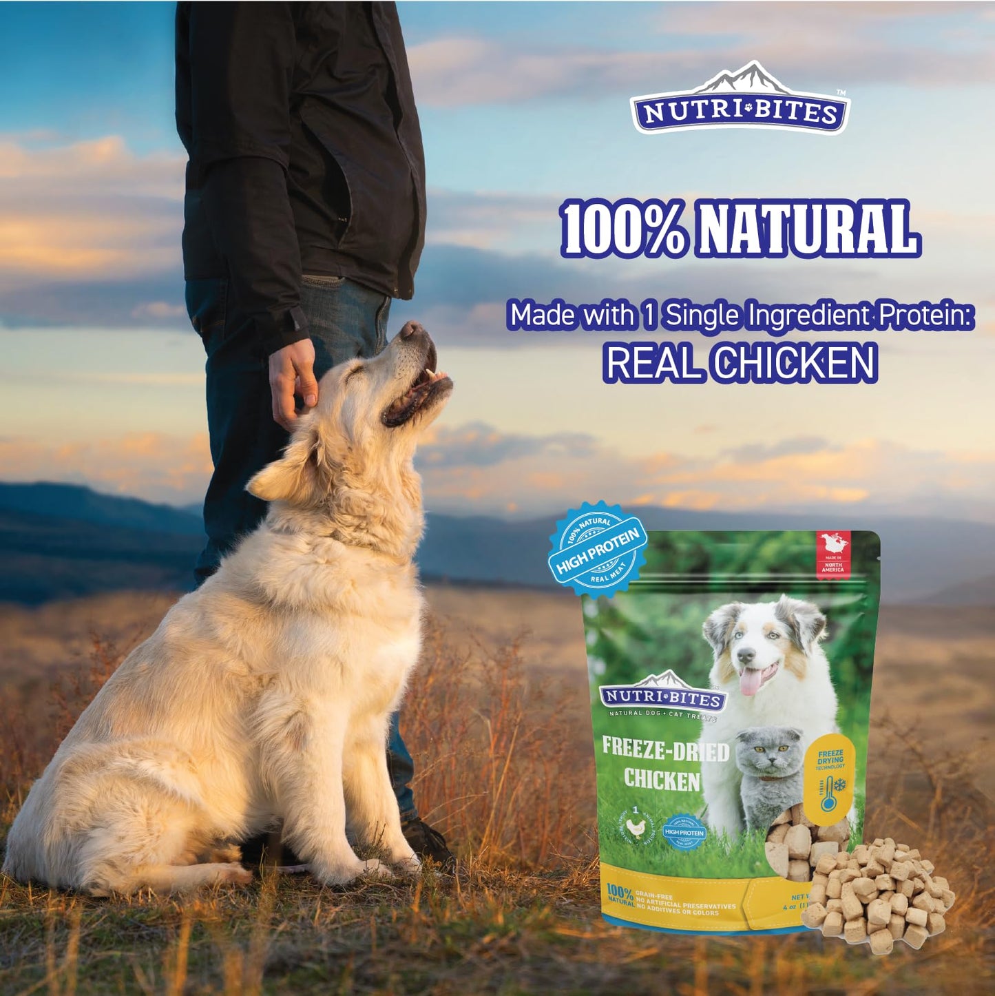 Friandises NutriBites au poulet lyophilisé pour chiens et chats, 425 g | Friandises ou compléments alimentaires pour le dressage de vos animaux | Entièrement naturelles, une seule protéine animale, riche en protéines | Emballage premium en vrac de 425 g