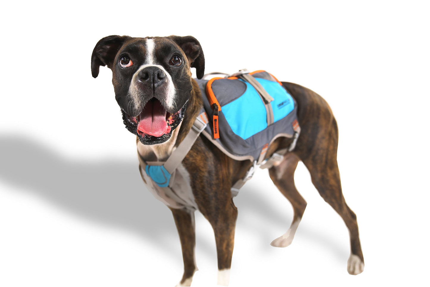Sac à dos Cesar Millan™ - Sac à dos pour chien Dog Whisperer - Sac à dos bien rembourré pour chiens - Sac à dos de randonnée durable pour chien (moyen)