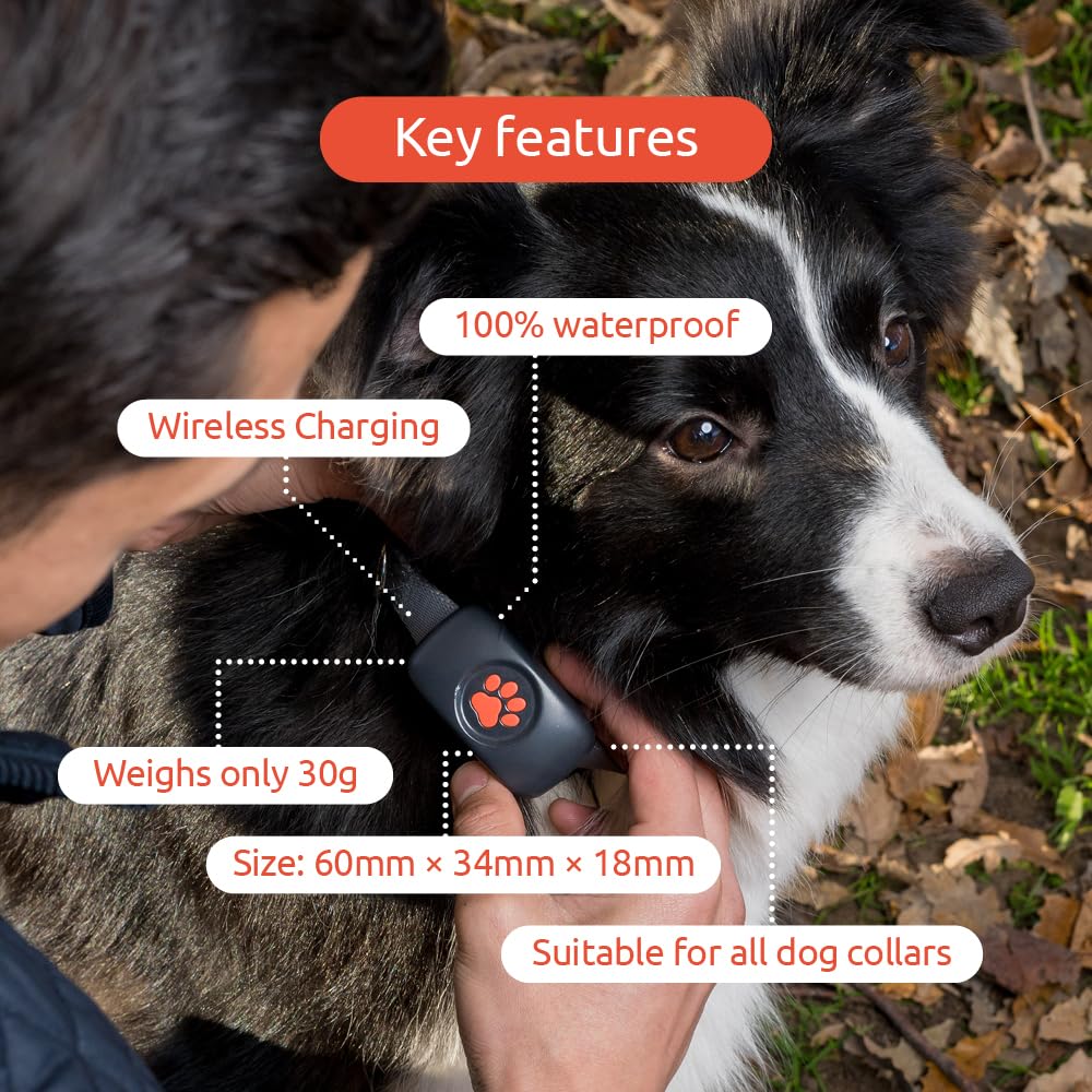 PitPat GPS Tracker for Dogs - No Subscription Fees - Suitable for All Dogs and Fits All Collars - Smart Activity Tracker, Satellite Tracking with Unlimited Range - 100% Waterproof Pet Tracker (Green)