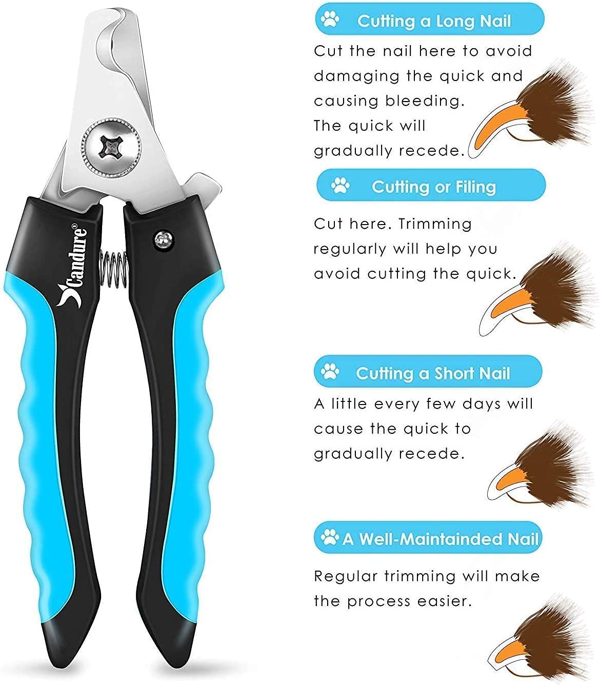 Candure Dog Nail Clippers and Trimmer with Safety Guard to Avoid Over-Cutting Toe Nails- Professional Grooming Razor Edge Blades Pet Nail Clipper with Free Nail File for Small Medium Large Breeds