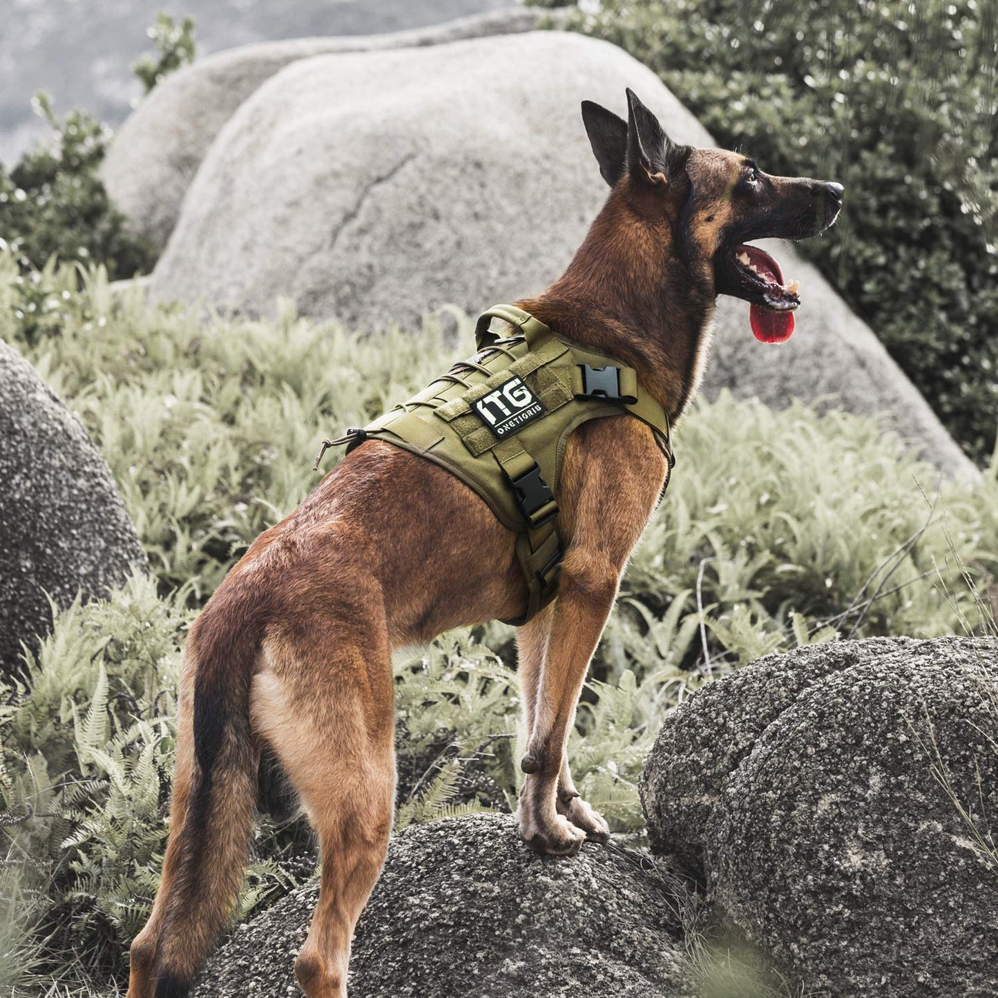 OneTigris Tactical Dog Harness,FIRE Watcher 2.0 No-Pull Dog Harness Vest with Hook & Loop Panels, Military Dog Harness Adjustable Dog Vest Harness for Walking Hiking Training (Ranger Green,Small)