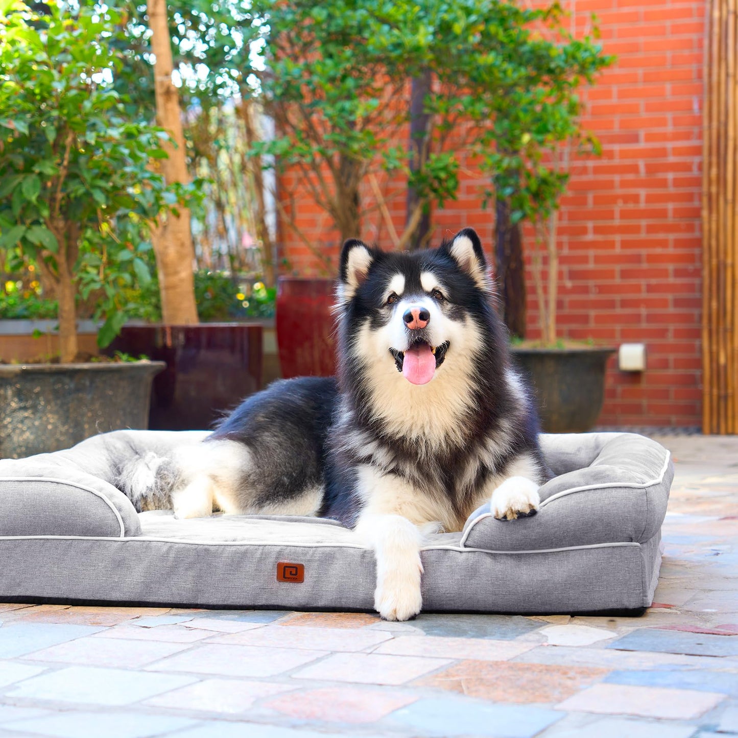 Panier orthopédique pour chien EHEYCIGA XL en mousse à mémoire de forme avec côtés, doublure imperméable pour chiens de très grande taille, fond antidérapant et coussin en mousse alvéolée avec housse amovible et lavable.