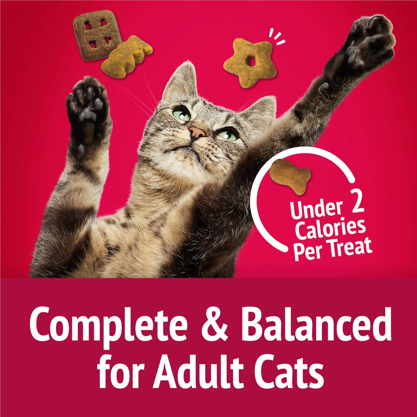 Friandises pour chats Friskies Party Mix, croustillantes et croustillantes au vrai poulet - Boîte de 454 g (1 paquet)