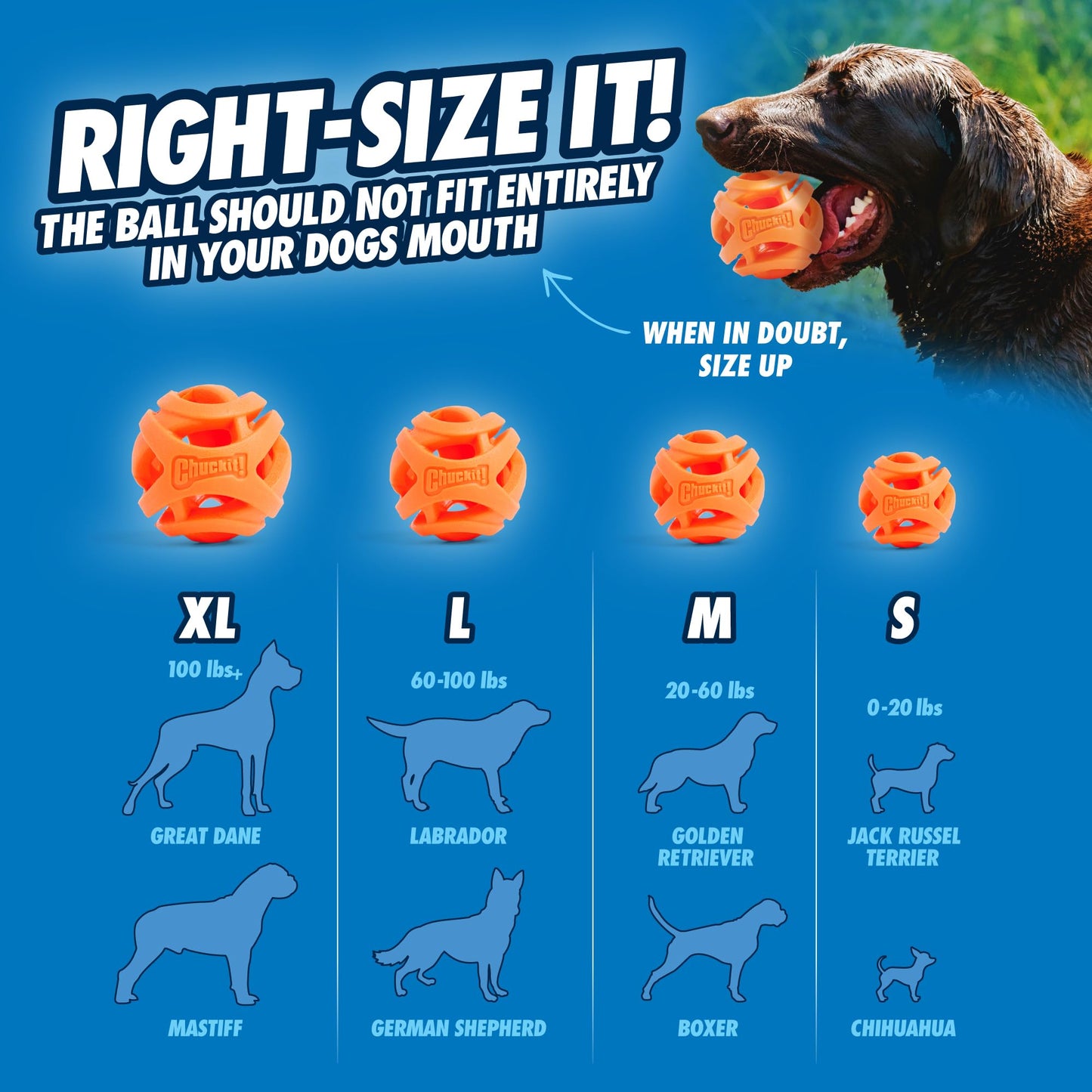 Balle ChuckIt! Durable Breathe Right pour chien (lot de 2, taille moyenne)