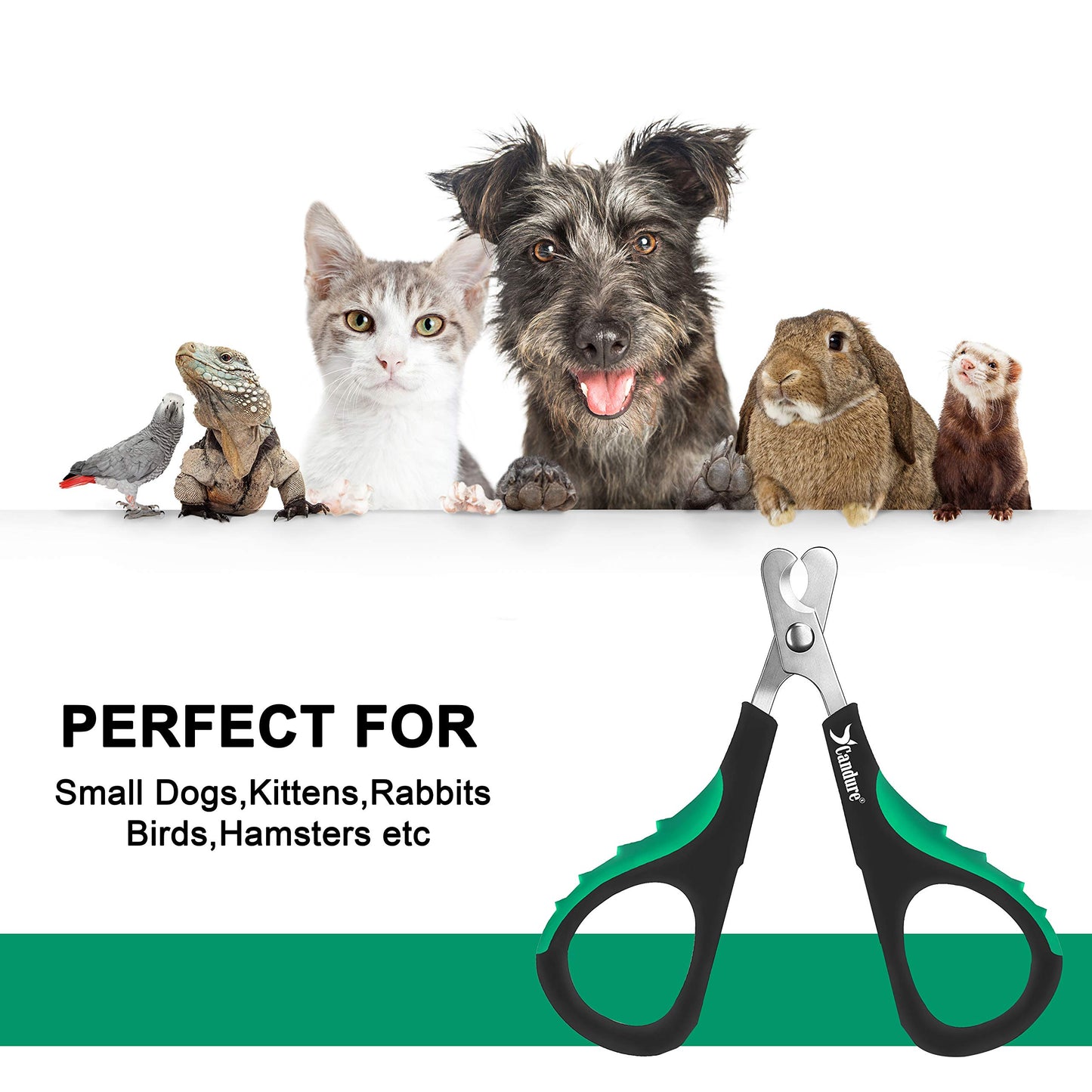 Coupe-griffes pour chat Candure en acier inoxydable pour lapins, cochons d'Inde, oiseaux, chiots, chatons et petits animaux - Coupe-griffes pour animaux de compagnie pour usage professionnel et domestique (noir)
