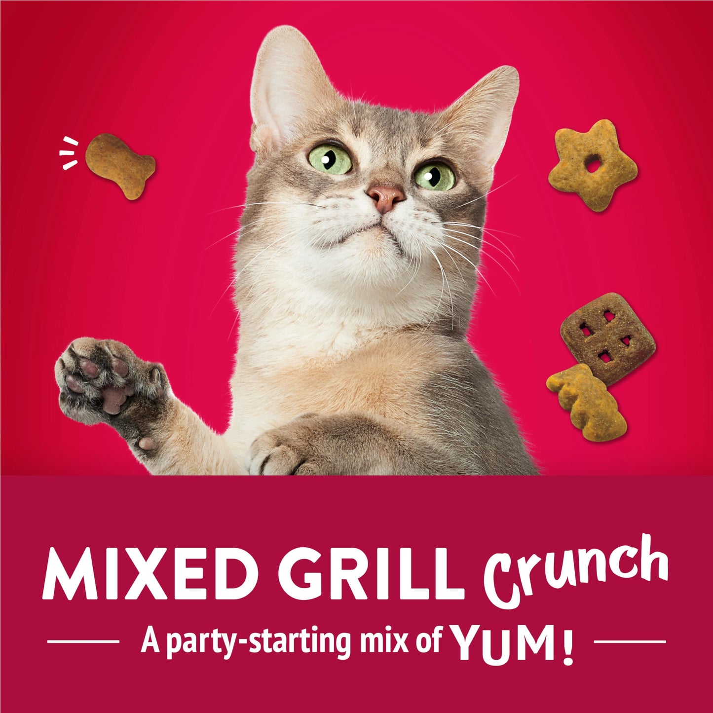 Friandises pour chats Friskies Party Mix, croustillantes et croustillantes au vrai poulet - Boîte de 454 g (1 paquet)