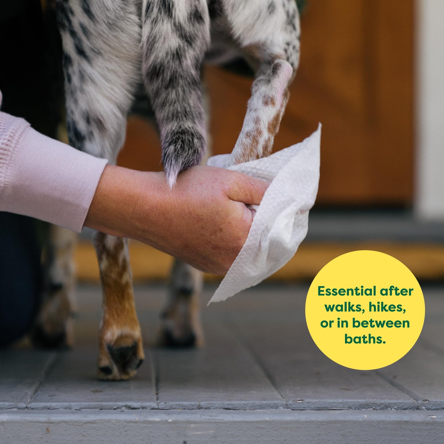 Lingettes de toilettage pour chiens et chats Earth Rated (entreprise canadienne), hypoallergéniques, nettoyantes et hydratantes, pour les pattes, le corps et les fesses, sans parfum, 100 unités