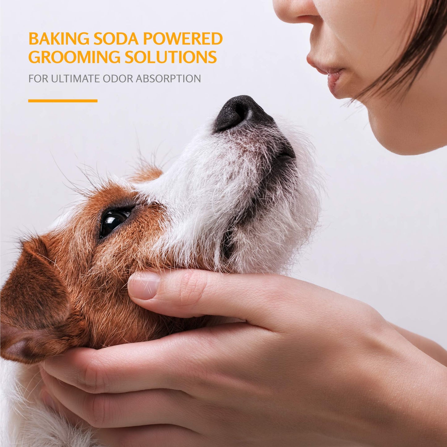 Shampoing anti-larmes pour chiots Arm & Hammer à l'eau de coco, le meilleur shampoing anti-larmes pour tous les chiens et chiots