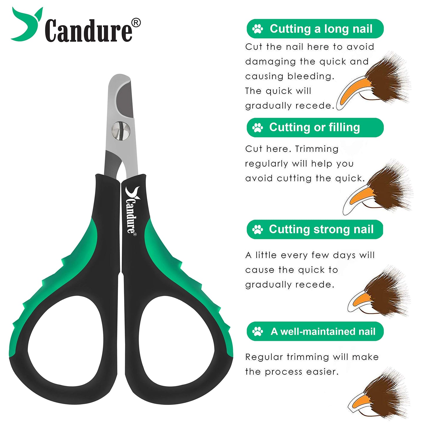 Coupe-griffes pour chat Candure en acier inoxydable pour lapins, cochons d'Inde, oiseaux, chiots, chatons et petits animaux - Coupe-griffes pour animaux de compagnie pour usage professionnel et domestique (noir)