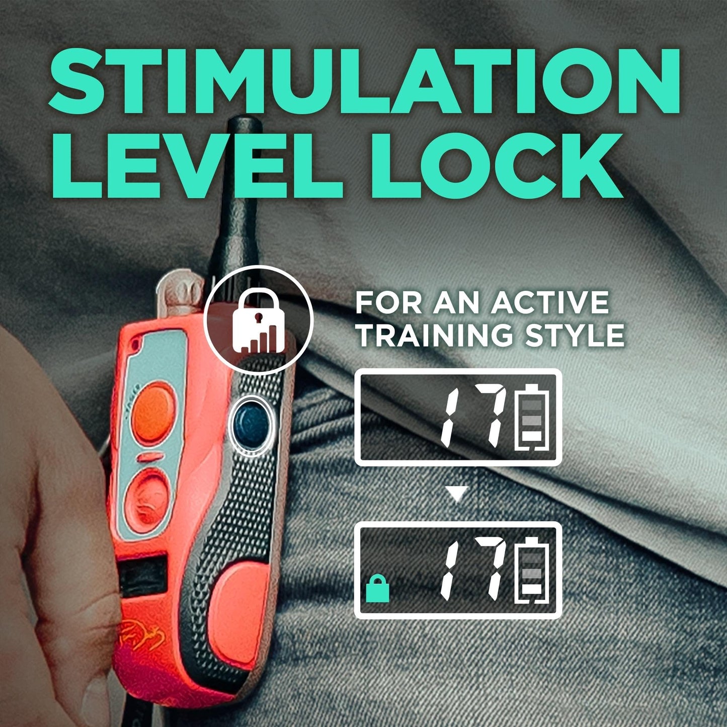 Collier électronique Dogtra Canada Tom Davis 280C avec télécommande pour chiens, rechargeable, étanche, Boost N' Bungee, portée de 0,80 km, pas de mauvais chiens