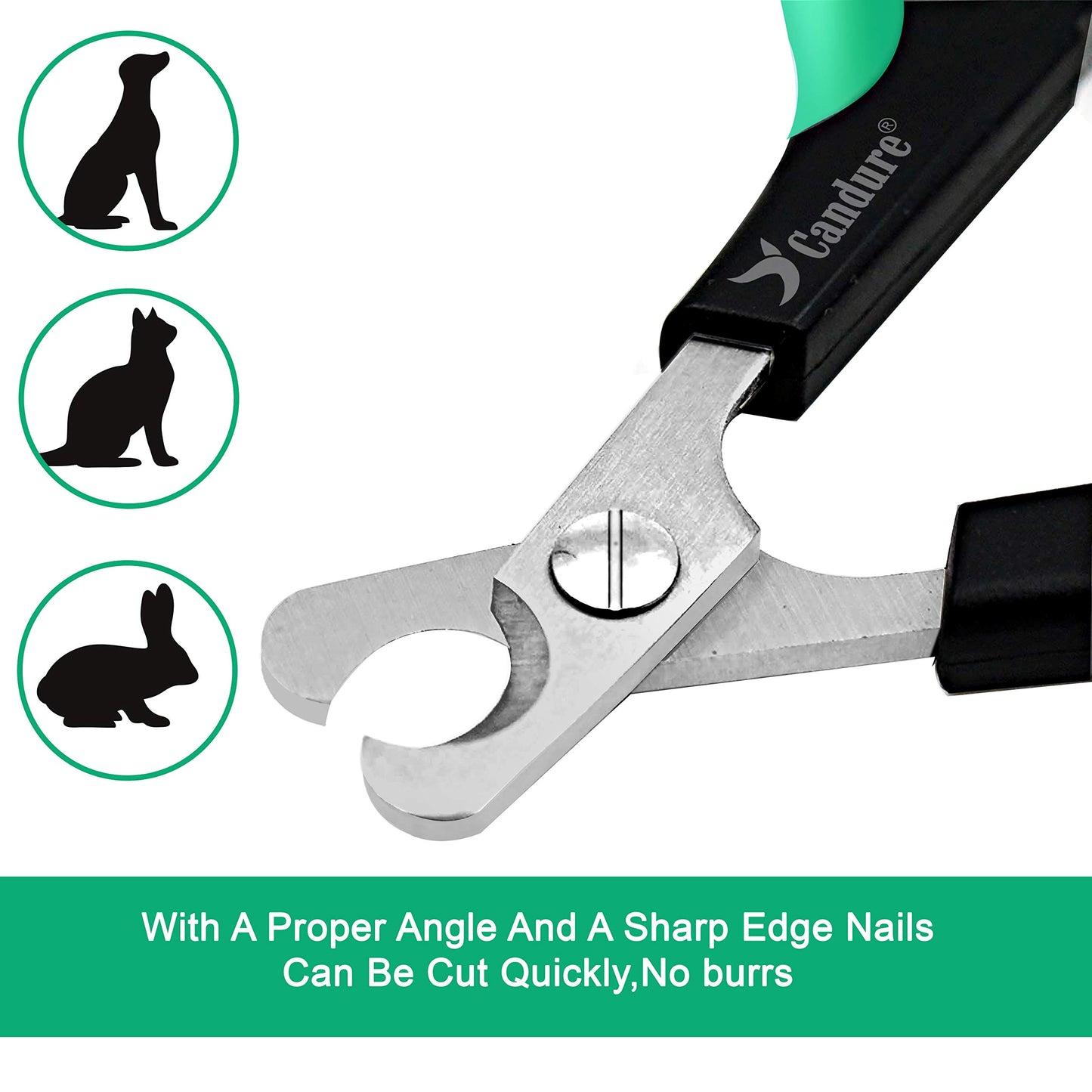 Coupe-griffes pour chat Candure en acier inoxydable pour lapins, cochons d'Inde, oiseaux, chiots, chatons et petits animaux - Coupe-griffes pour animaux de compagnie pour usage professionnel et domestique (noir)
