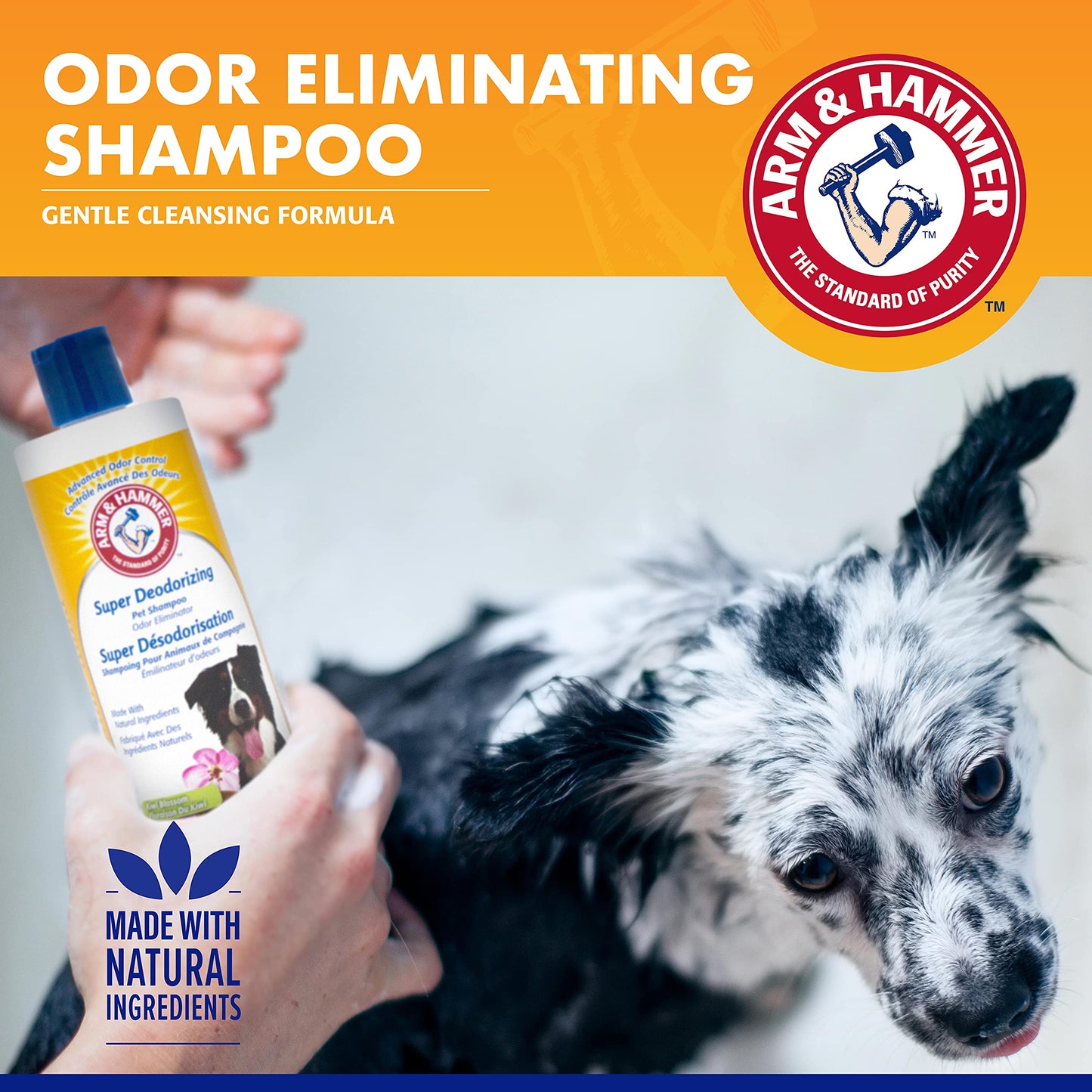 Shampoing super déodorant Arm & Hammer à la fleur de kiwi, le meilleur shampoing anti-odeurs pour chiens et chiots, 473 ml