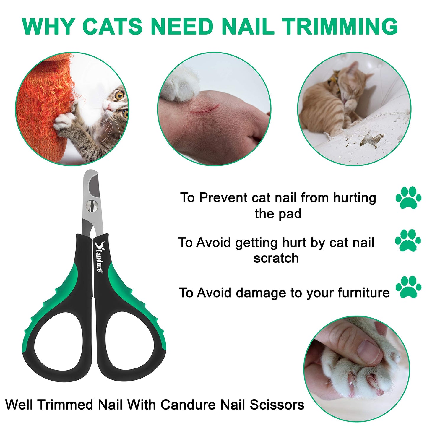 Coupe-griffes pour chat Candure en acier inoxydable pour lapins, cochons d'Inde, oiseaux, chiots, chatons et petits animaux - Coupe-griffes pour animaux de compagnie pour usage professionnel et domestique (noir)