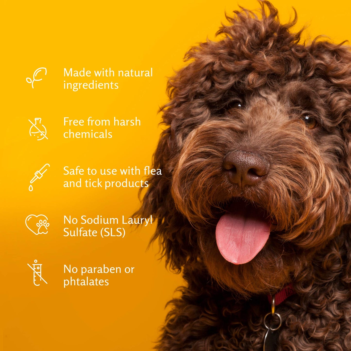 Shampoing anti-larmes pour chiots Arm & Hammer à l'eau de coco, le meilleur shampoing anti-larmes pour tous les chiens et chiots