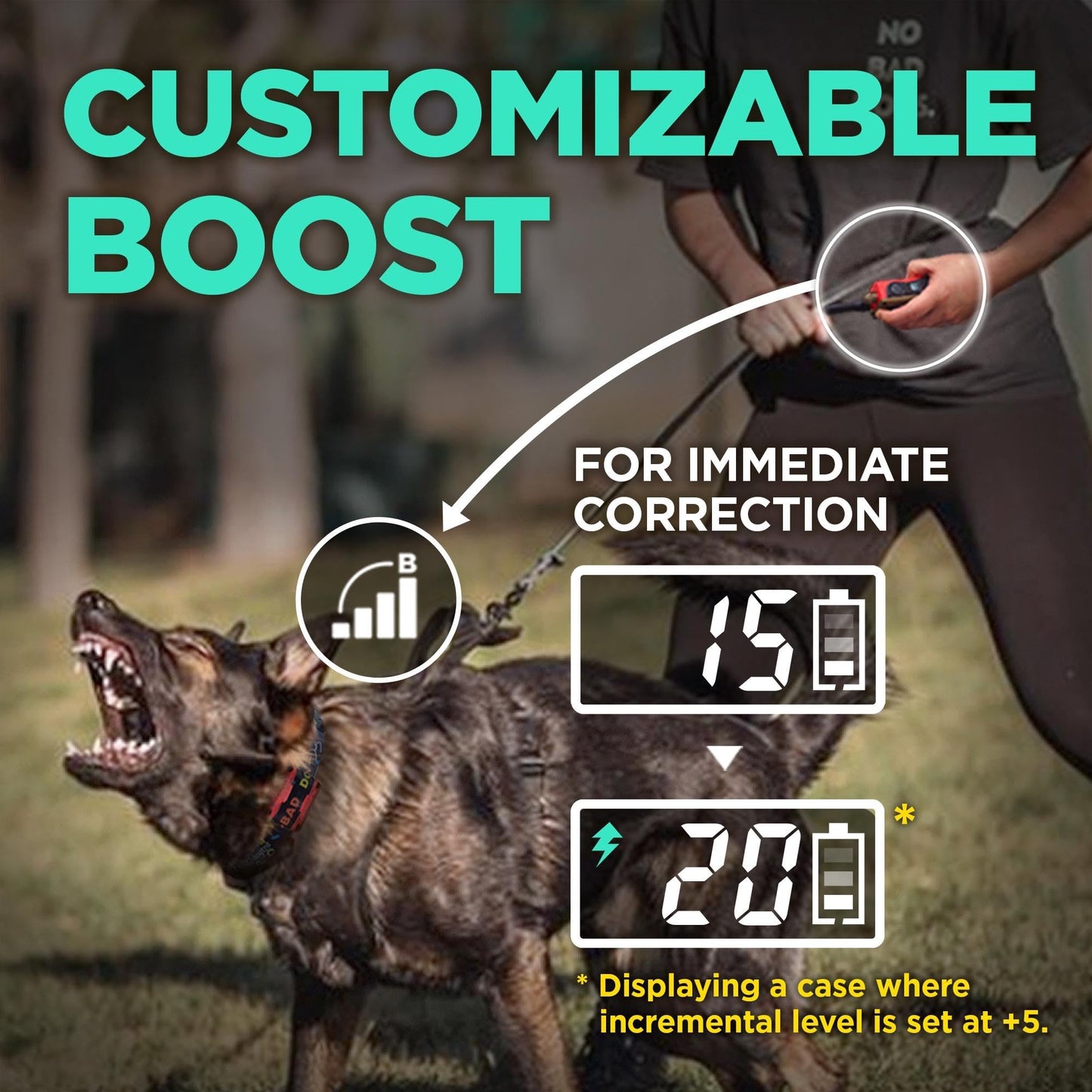 Collier électronique Dogtra Canada Tom Davis 280C avec télécommande pour chiens, rechargeable, étanche, Boost N' Bungee, portée de 0,80 km, pas de mauvais chiens